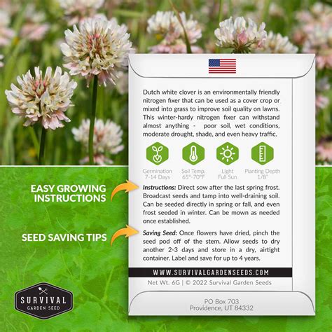 Dutch White Clover - Nitrogen Fixing Seeds - SurvivalGardenSeeds