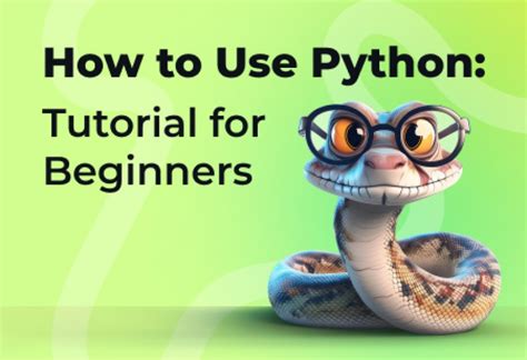 Image result for How to Use Python Code
