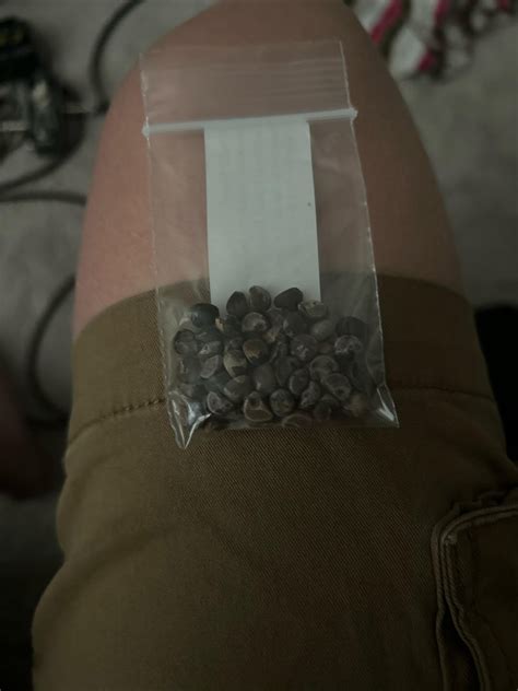 I know you guys get posts like this all the time, but are these the ...