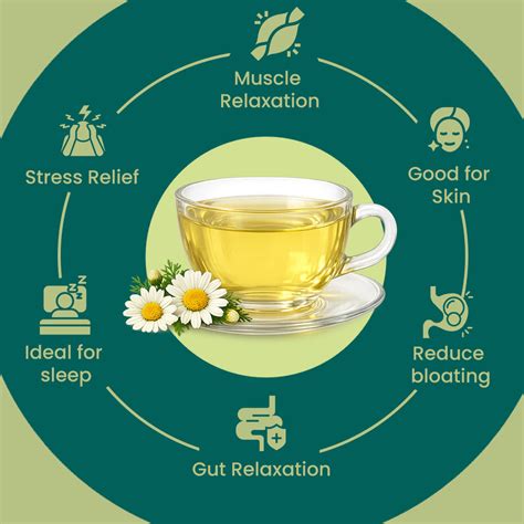Chamomile Tea 100% Natural & Chemical Free Herbal – matoindia
