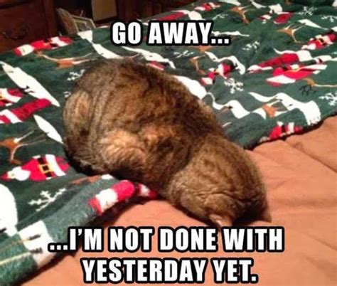 Image result for Cat Sketch Tutorial