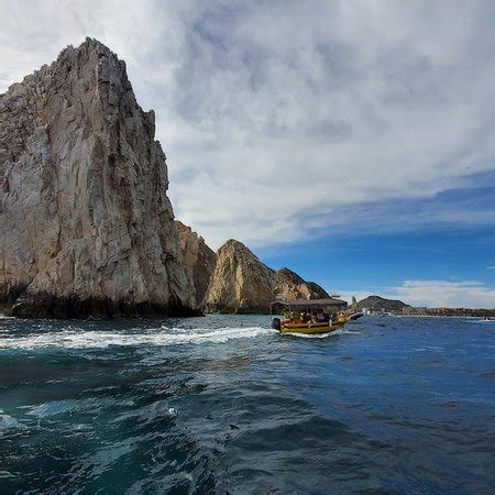 Los Cabos Whale Watching (Cabo San Lucas) - 2022 What to Know Before ...