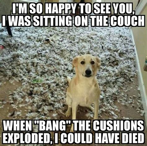 13 Animal jokes ideas | animal jokes, funny animal pictures, funny ...