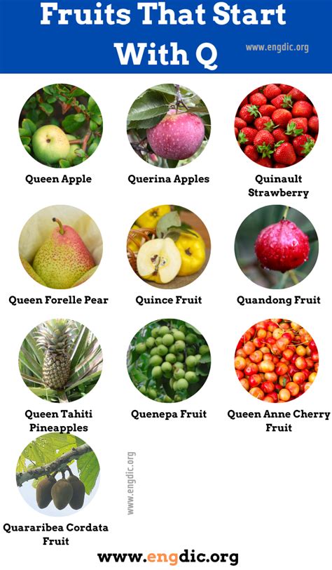 Fruits That Start With A Q at Emmanuel Jones blog