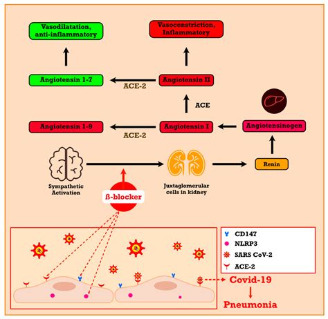 The Potential Benefit of Beta-Blockers for the Management of COVID-19 Protocol Therapy-Induced ...