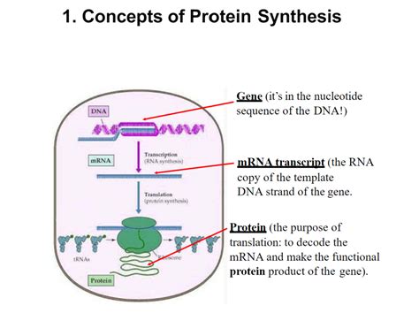 Image result for Human Genetic Code