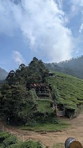 Top 13 things to do in Suryanelli (Updated May 2025)