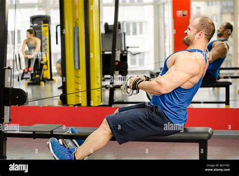 Row Pulley Machine 的图像结果