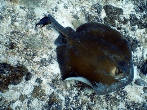 Aqua Dive - Muscat | Tripadvisor