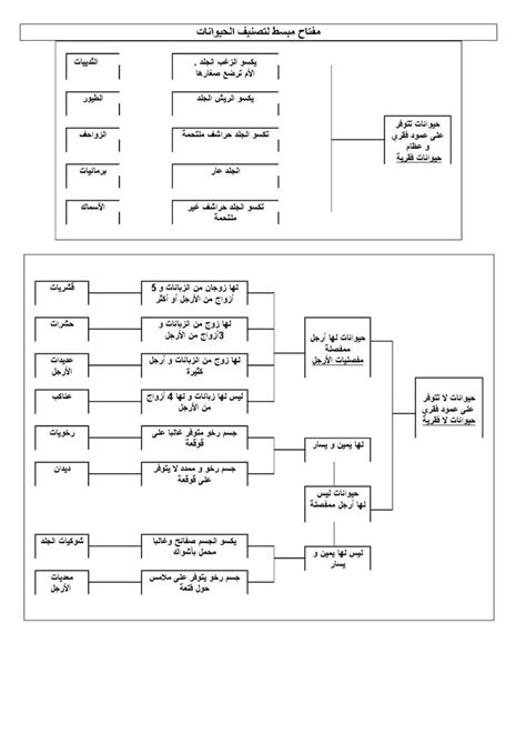 Image result for Animal Classification Tutorial in Python