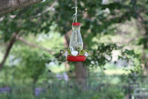 Perky-Pet Hummingbird Feeder