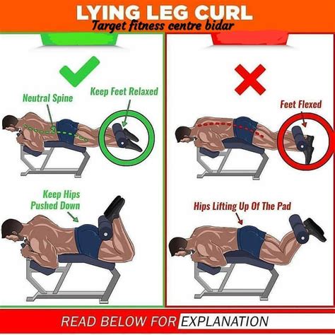 Lying Hamstring Curls