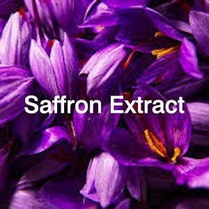 Body Gold Shatadhauta ghrita ayurvedic cream - Natural Desi Ghee Skin ...