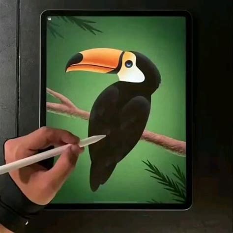 Color Graphic Design 的图像结果