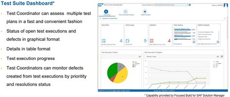 Solution Manager Test Suite 的图像结果