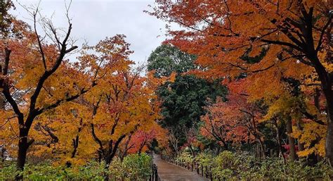 Matsudo Tourism (2021): Best of Matsudo, Japan - Tripadvisor