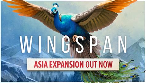 Image result for JavaBat Wingspan