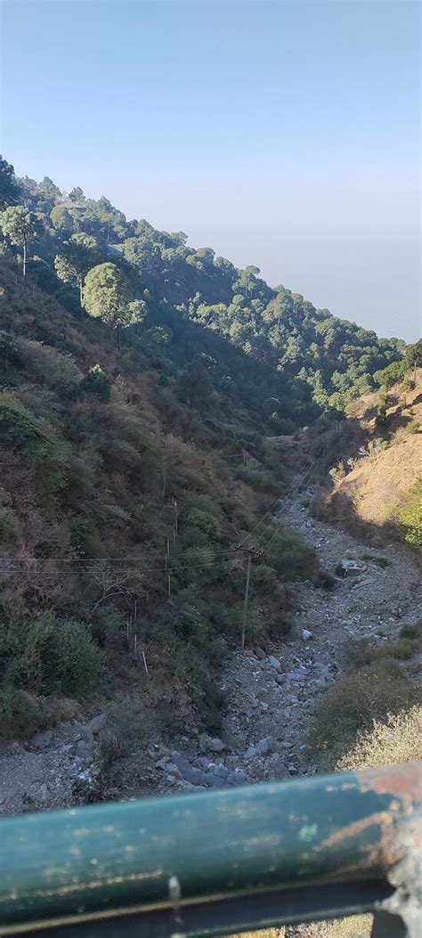 MISTY WINDS KASAULI - Hotel Reviews & Photos - Tripadvisor