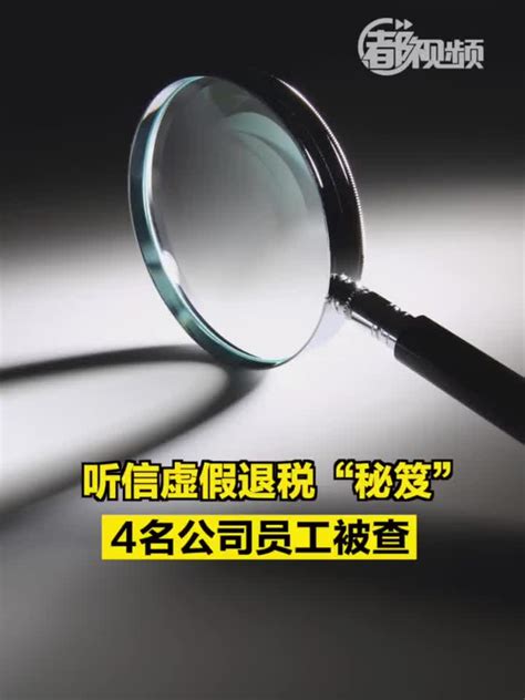 提供虚假学历求职不可取