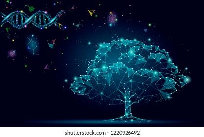 Image result for DNA Tree