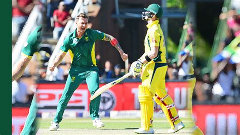 Australia vs South Africa 3rd ODI Dream11 Team: Top 5 fantasy cricket ...