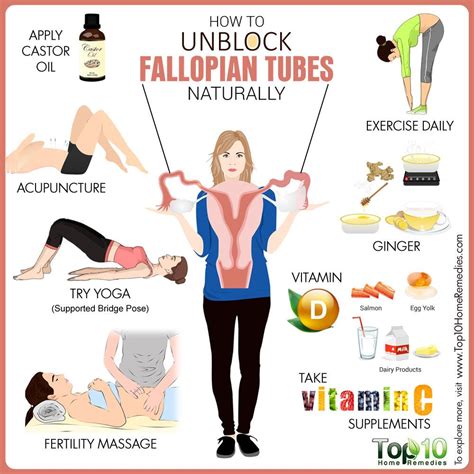 Image result for Removing Fallopian Tubes