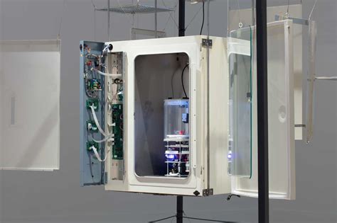 BioMess 的图像结果