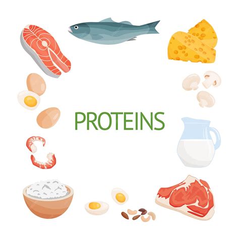 Set of healthy food macronutrients proteins presented by food products | Premium Vector