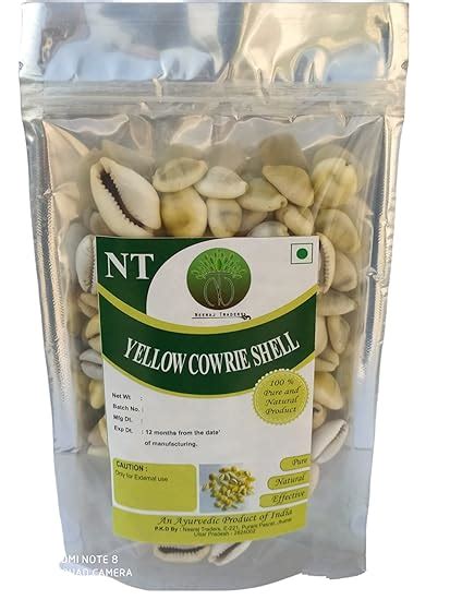 Buy NEERAJ -Yellow Gavvalu peeli kodi yellow cowrie Lakshmi Peeli Kawri ...