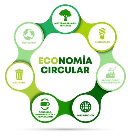Qué es la economía circular - RESIDUOS MORLO