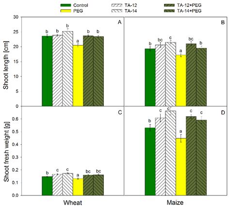 The Physiological Responses of Wheat and Maize Seedlings Grown under ...