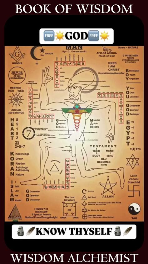 The Book of Wisdom pdf free download | Wisdom books, Wisdom, Books for ...