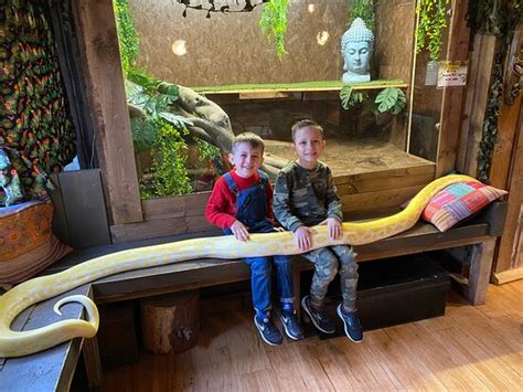 Great experience - Reviews, Photos - The Jungle Ranger - Tripadvisor