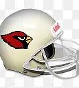 Image result for 红衣主教 cardinals