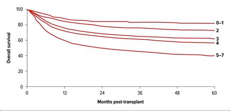 Is there still a role for allo-HSCT in CML? - Onkologie - Universimed ...