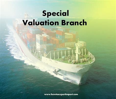 A complete guideline about Special Valuation Branch (SVB)
