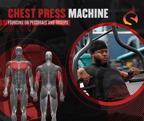 Image result for Weight Gym Using Machines