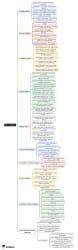 Ratio Analysis Mind Map - CPA (US) BAR-Business Analysis PDF Download