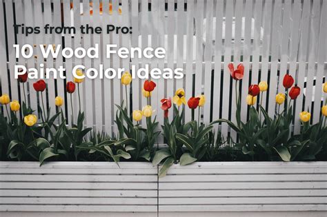 Paint Wood Fence Designs 60 Gorgeous Fence Ideas And Designs