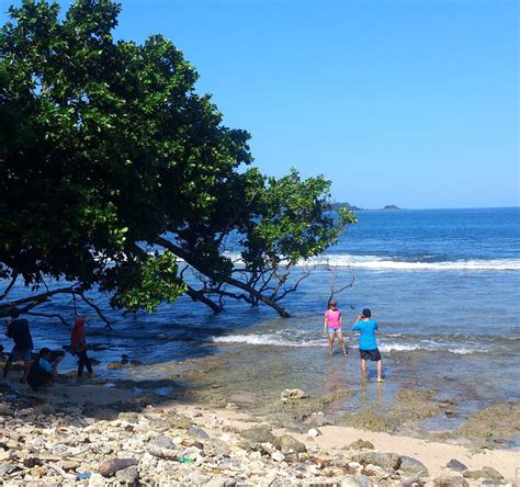 PEUCANG ISLAND - All You Need to Know BEFORE You Go 2026 (with Photos ...