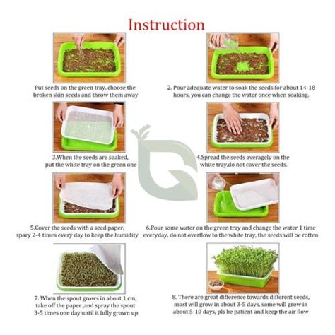 Radish Purple Sango Microgreen Seeds – Non-Hybrid, Non-GMO – Buy Online