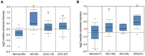 EHMT2 Inhibition Induces Cell Death in Human Non-Small Cell Lung Cancer ...