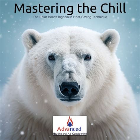 Polar bears have a layer of blubber under their skin, and they use ...