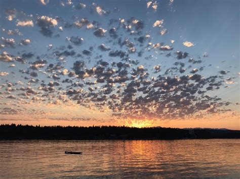 Tacoma Vacation Rentals | Houses and More | Airbnb