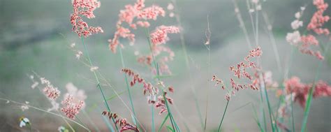 Spray-Tanning Tutorial 的图像结果