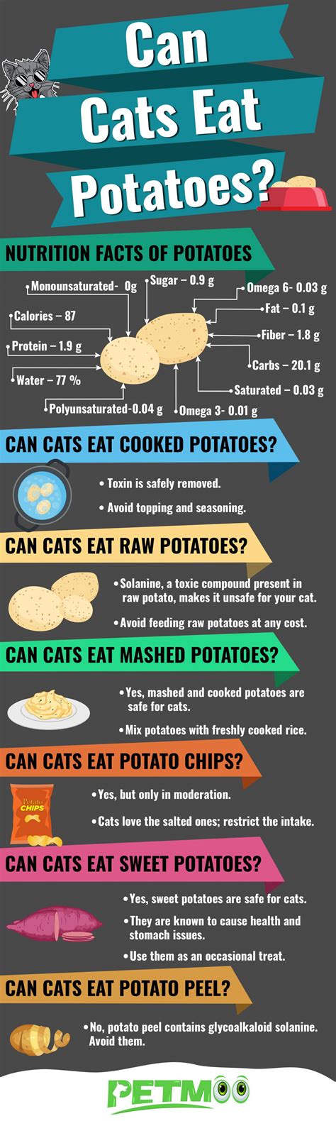 Can Cats Eat Instant Mashed Potatoes