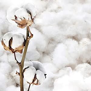 Kuber Industries Multi Check Printed Cotton Bolster Cover- Set of 2, 16 ...