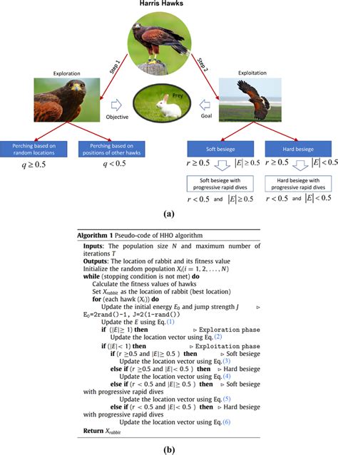 HHO Open System 的图像结果