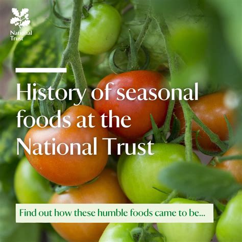 Ever wondered why carrots are orange or where potatoes originated from ...