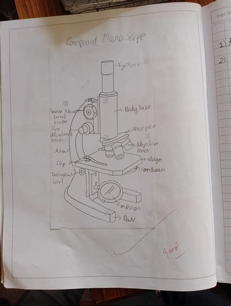 Image result for Compound Microscope Diagram Class 12